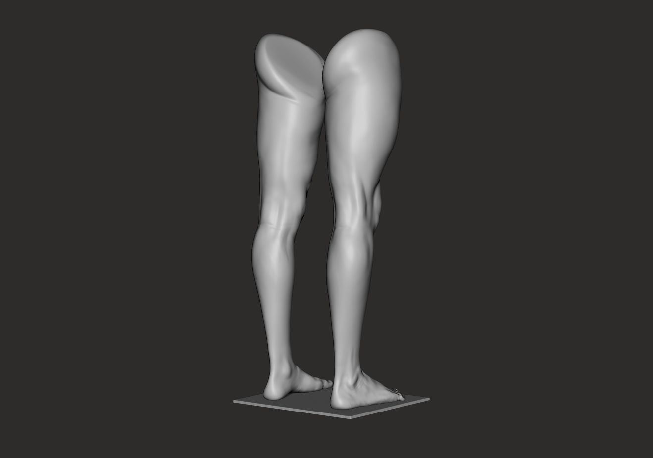 Foot and Leg anatomy 3D print model_7