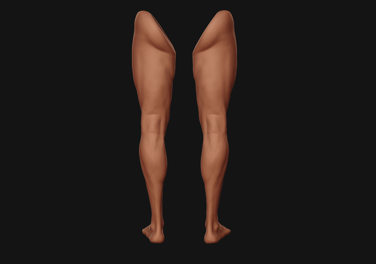 Foot and Leg anatomy 3D print model_9