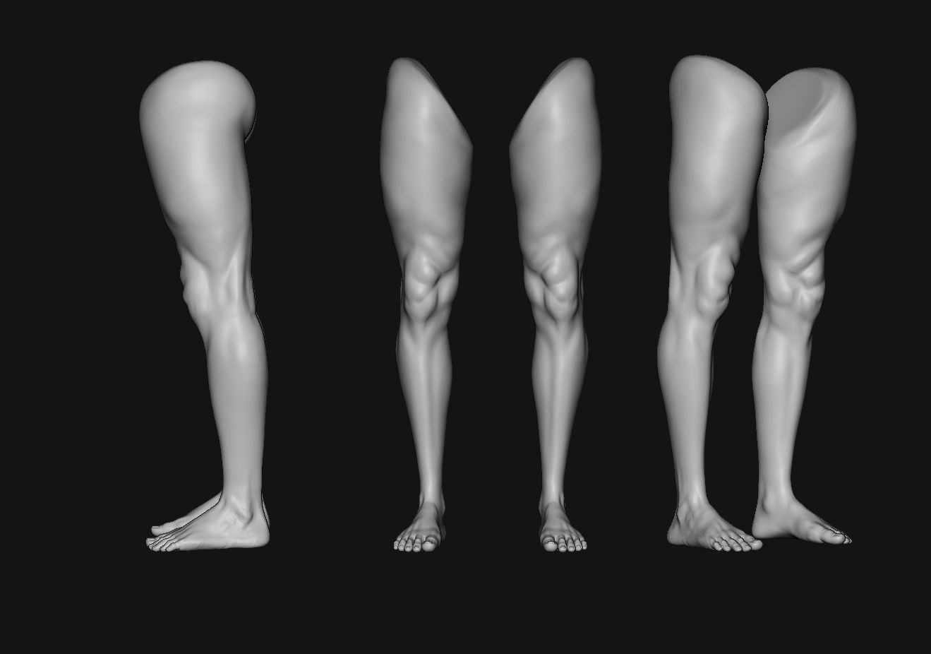 Foot and Leg anatomy 3D print model_6