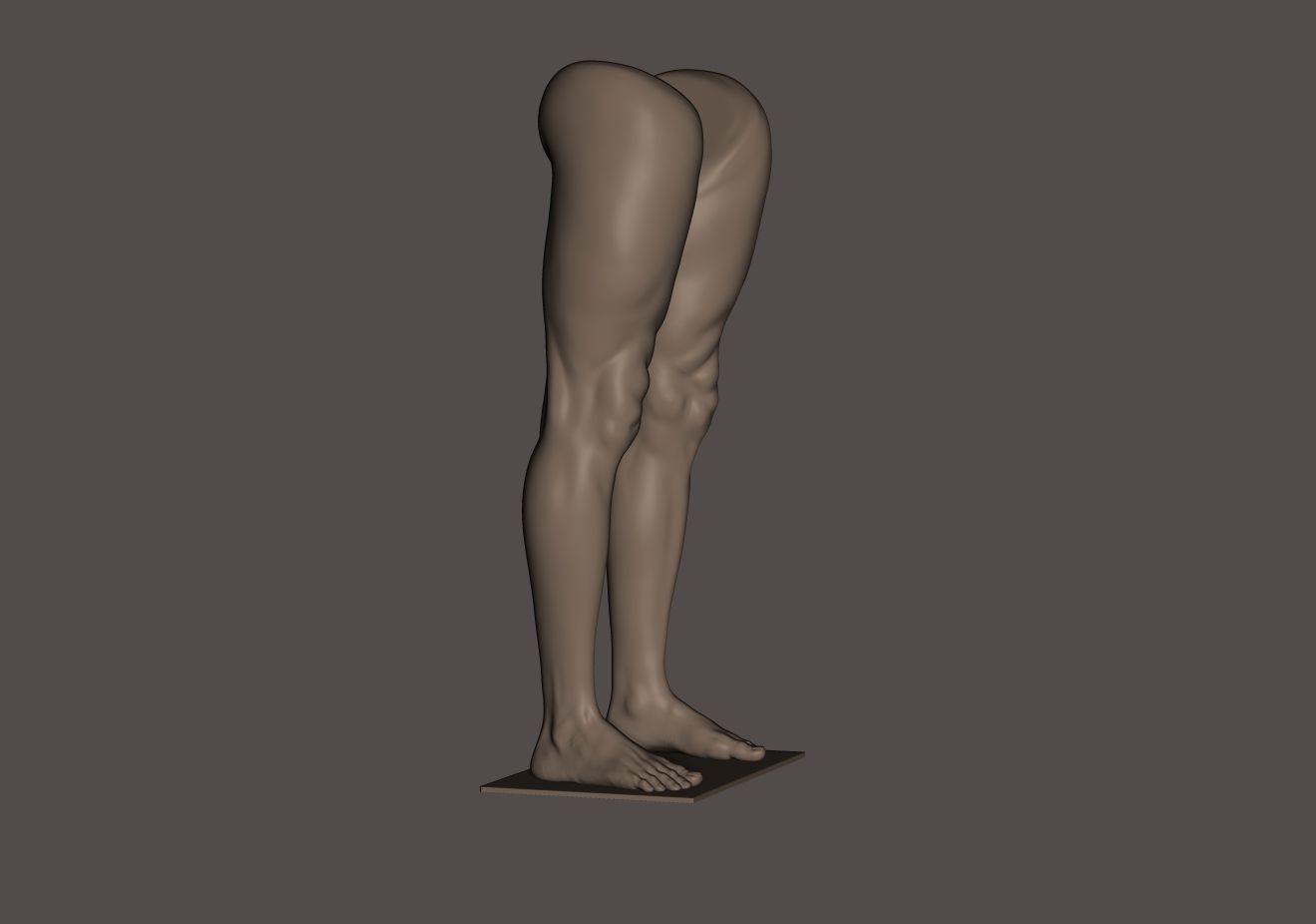 Foot and Leg anatomy 3D print model_17