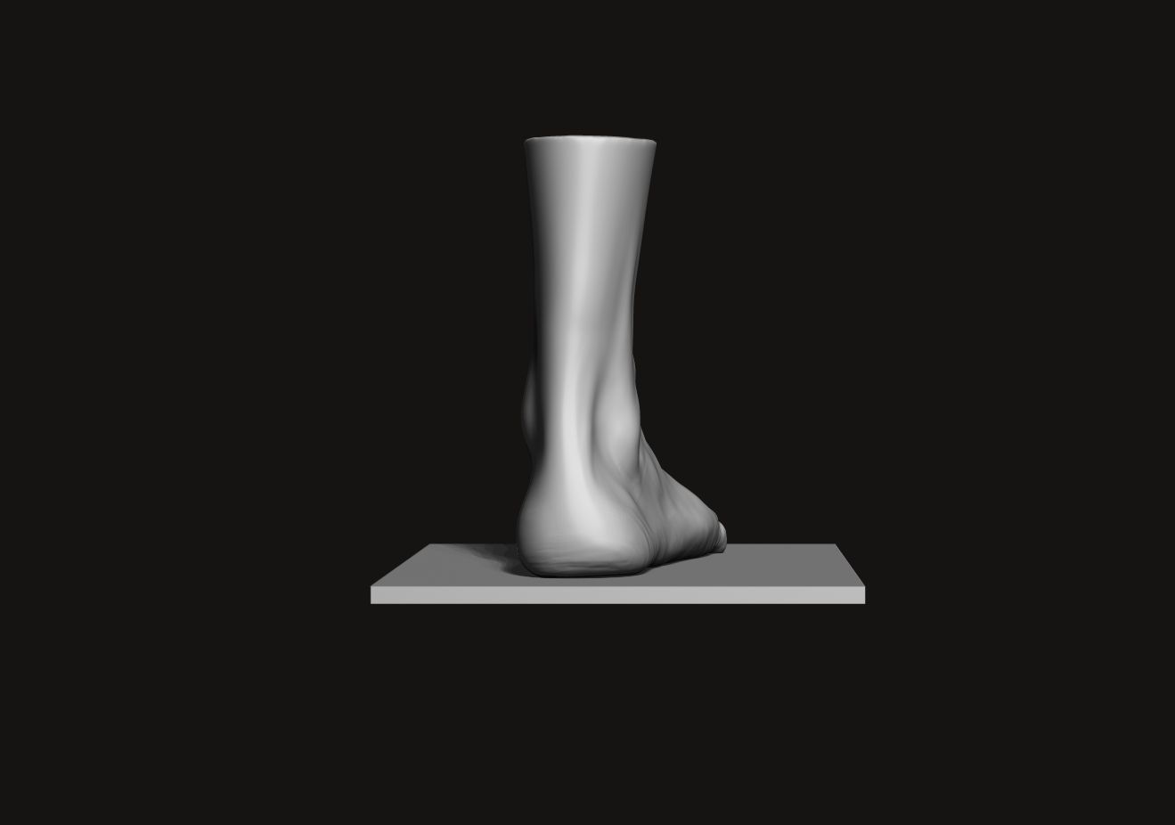 Foot and Leg anatomy 3D print model_10