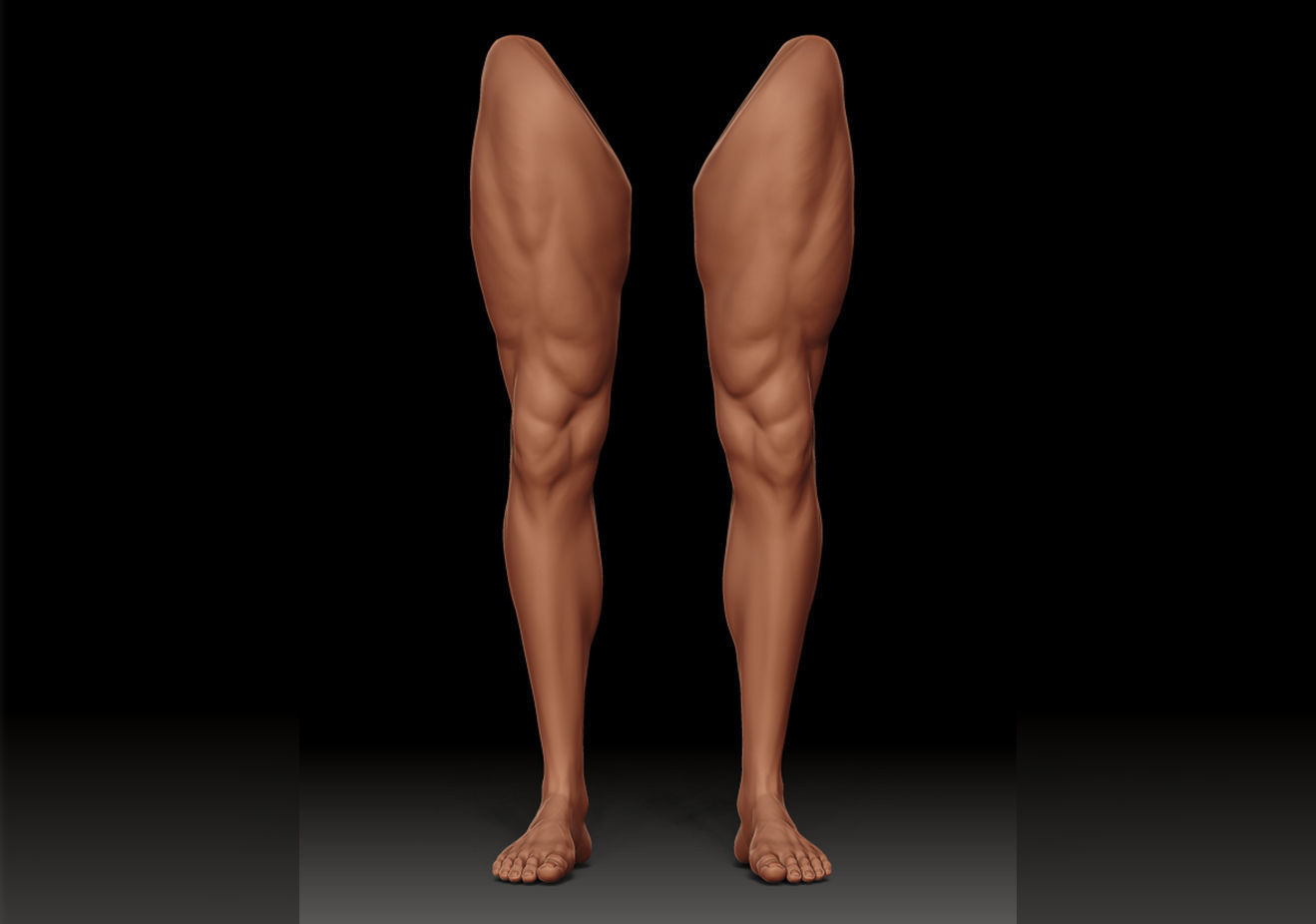 Foot and Leg anatomy 3D print model_26