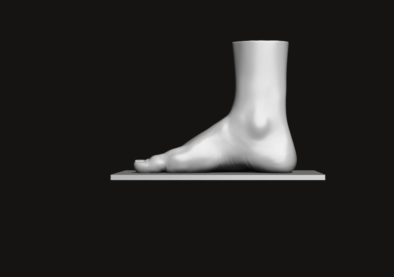 Foot and Leg anatomy 3D print model_11