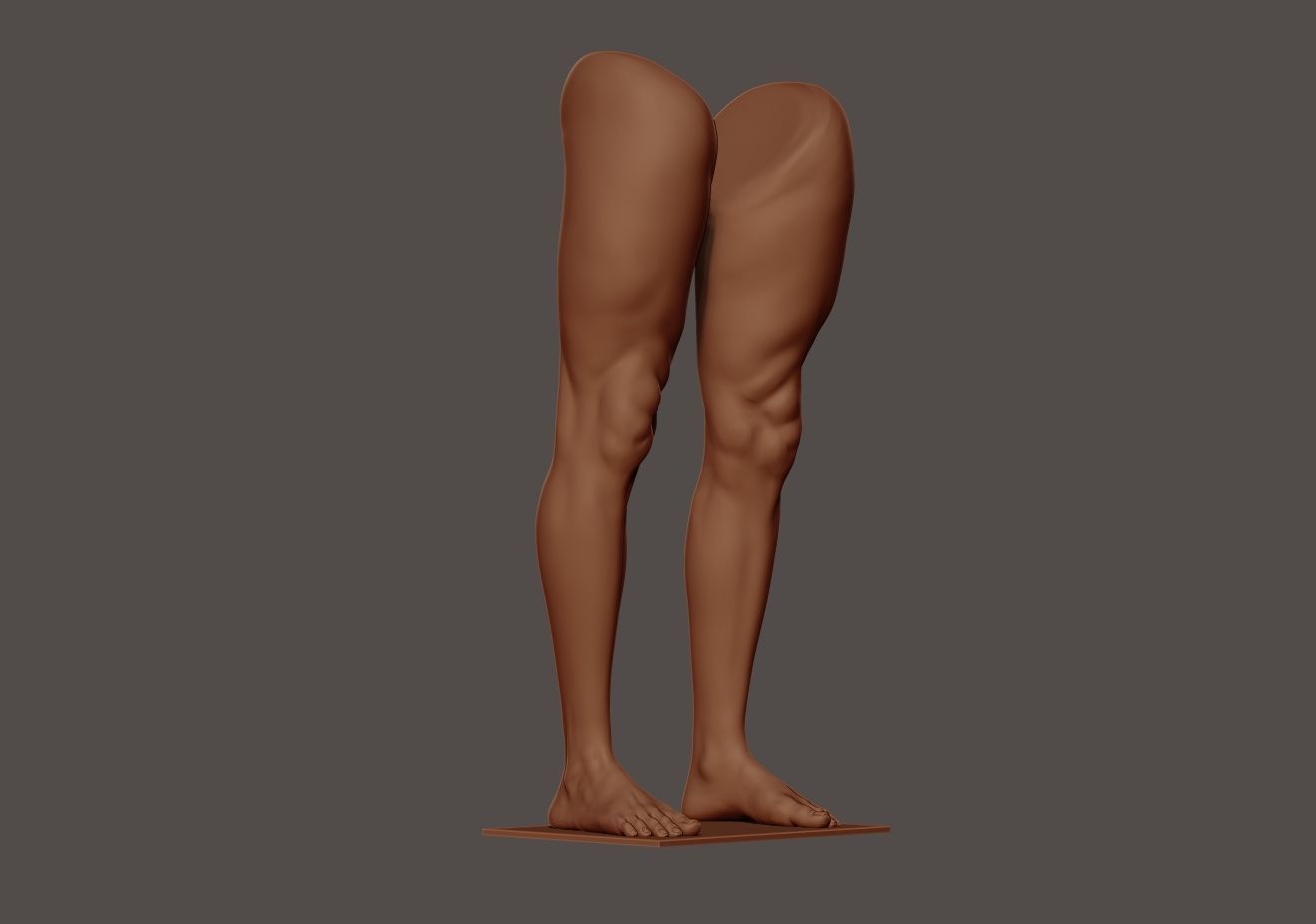 Foot and Leg anatomy 3D print model_19