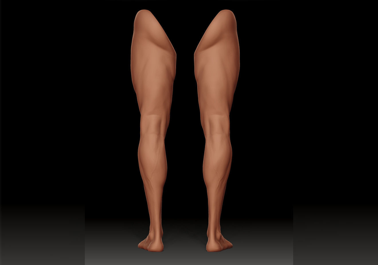 Foot and Leg anatomy 3D print model_27