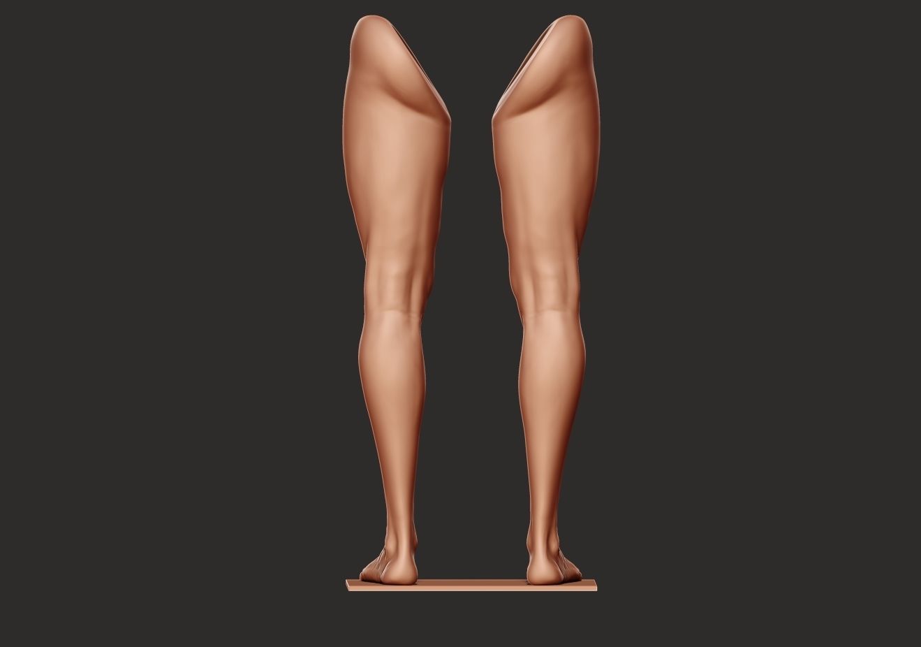 Foot and Leg anatomy 3D print model_20