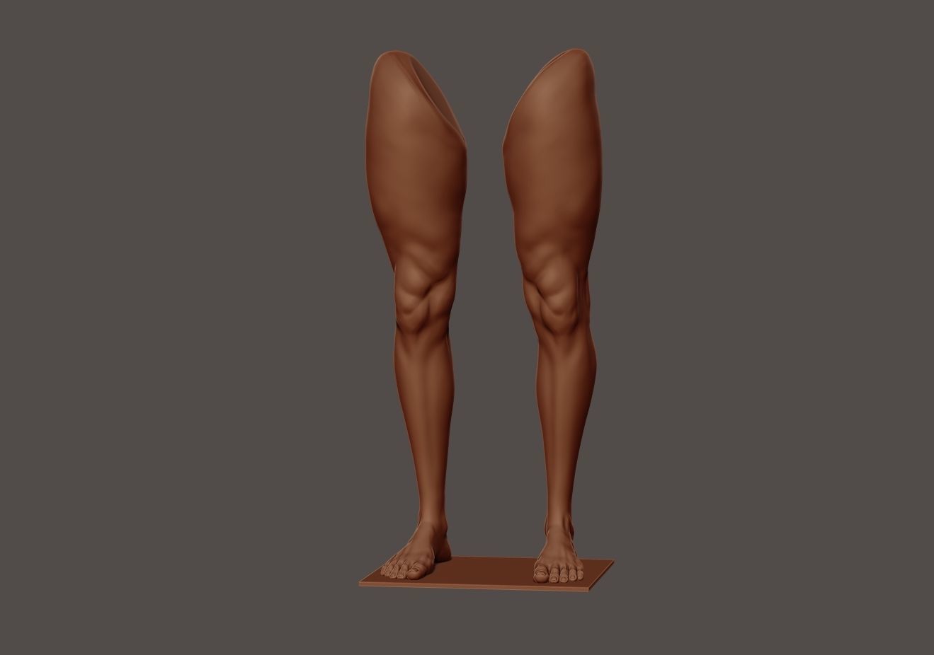 Foot and Leg anatomy 3D print model_18