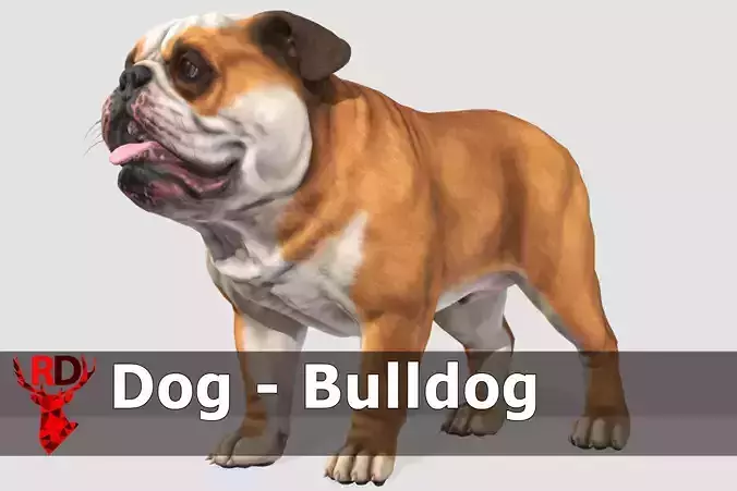 Dog - Bulldog Low-poly 3D model