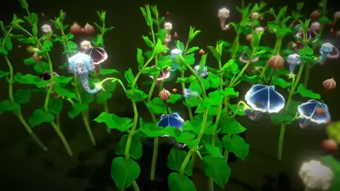 Flower Ceropegia Haygarthii