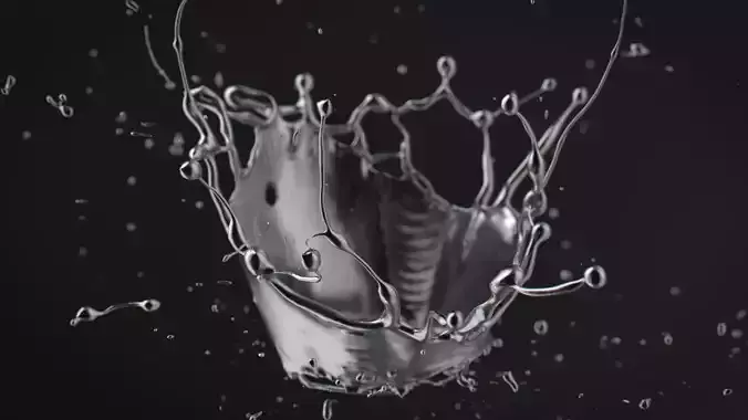 Crown Splash Animated 3D model