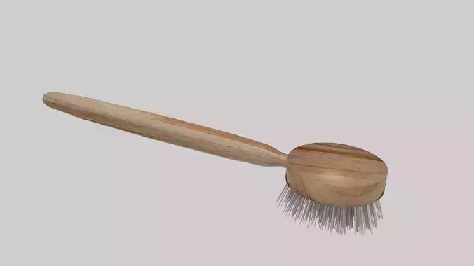 Dish brush