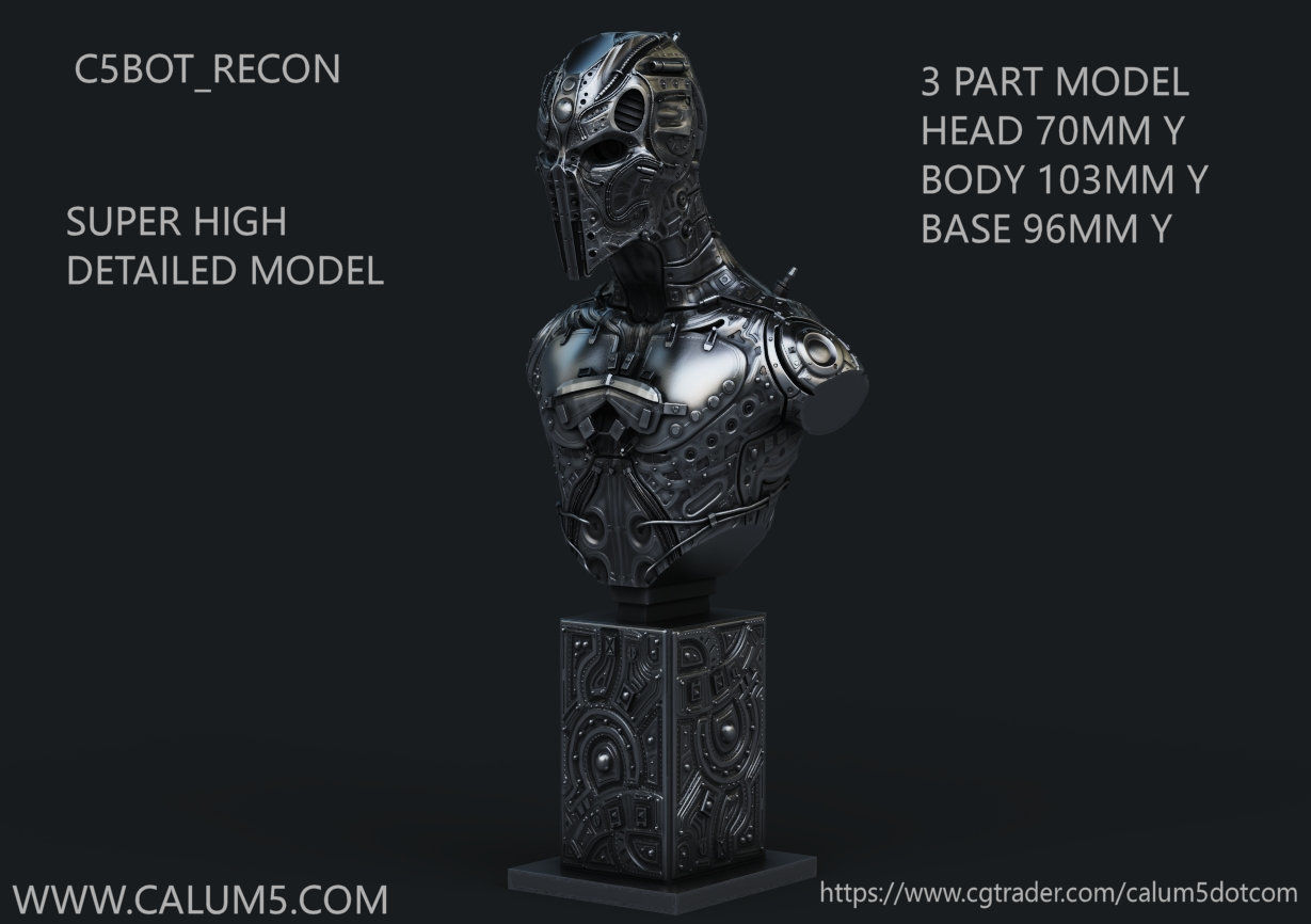 C5X Recon Bust 3D print model_2