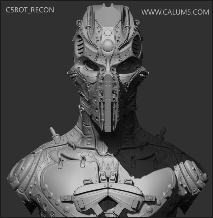 C5X Recon Bust 3D print model_6