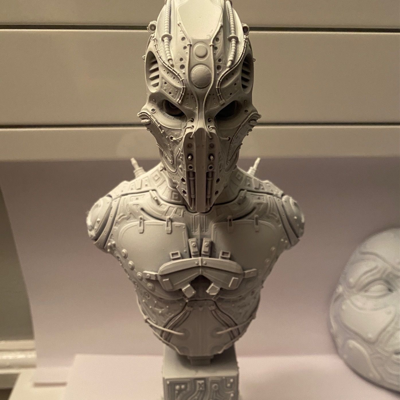 C5X Recon Bust 3D print model_11