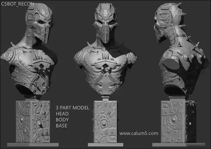 C5X Recon Bust 3D print model