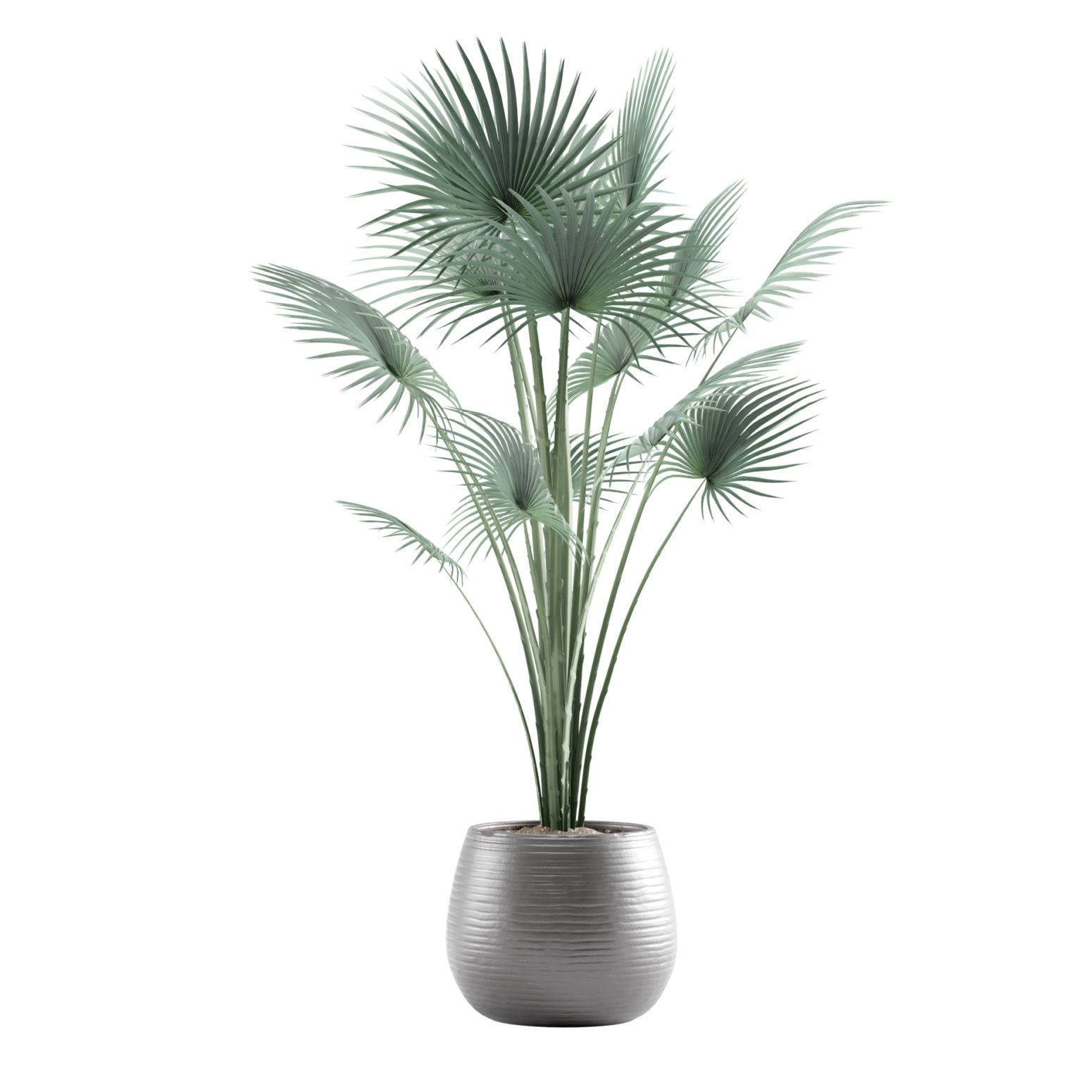 Indoor Plants Pack 12 3D model_6