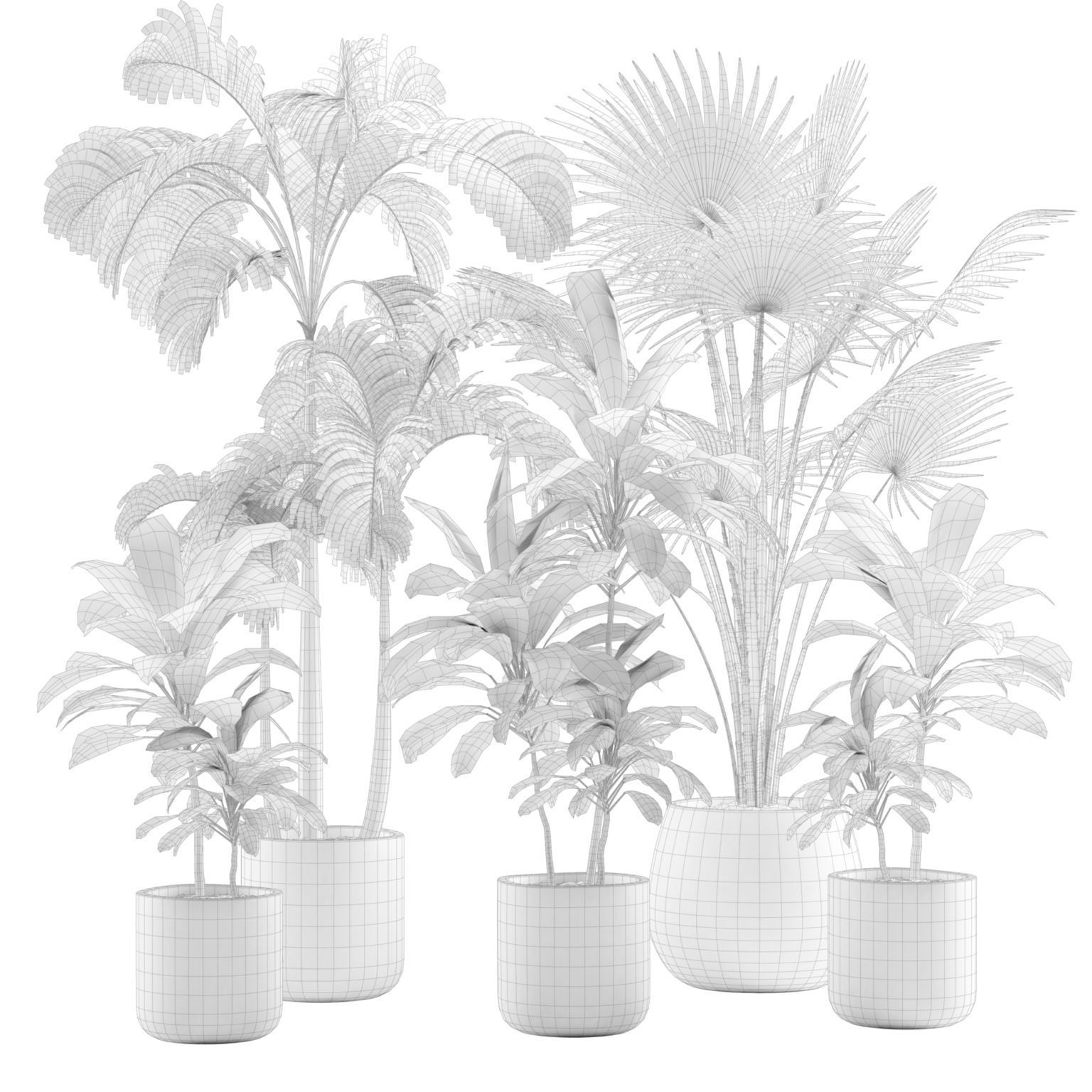Indoor Plants Pack 12 3D model_2