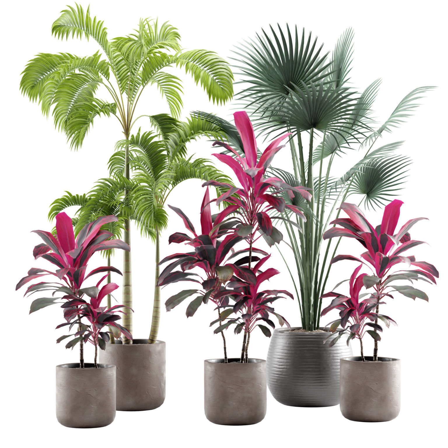 Indoor Plants Pack 12 3D model_1