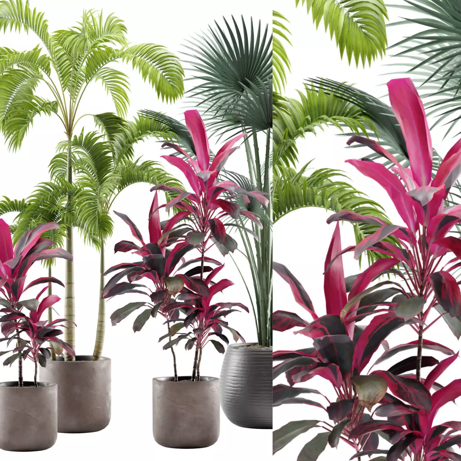 Indoor Plants Pack 12 3D model_0