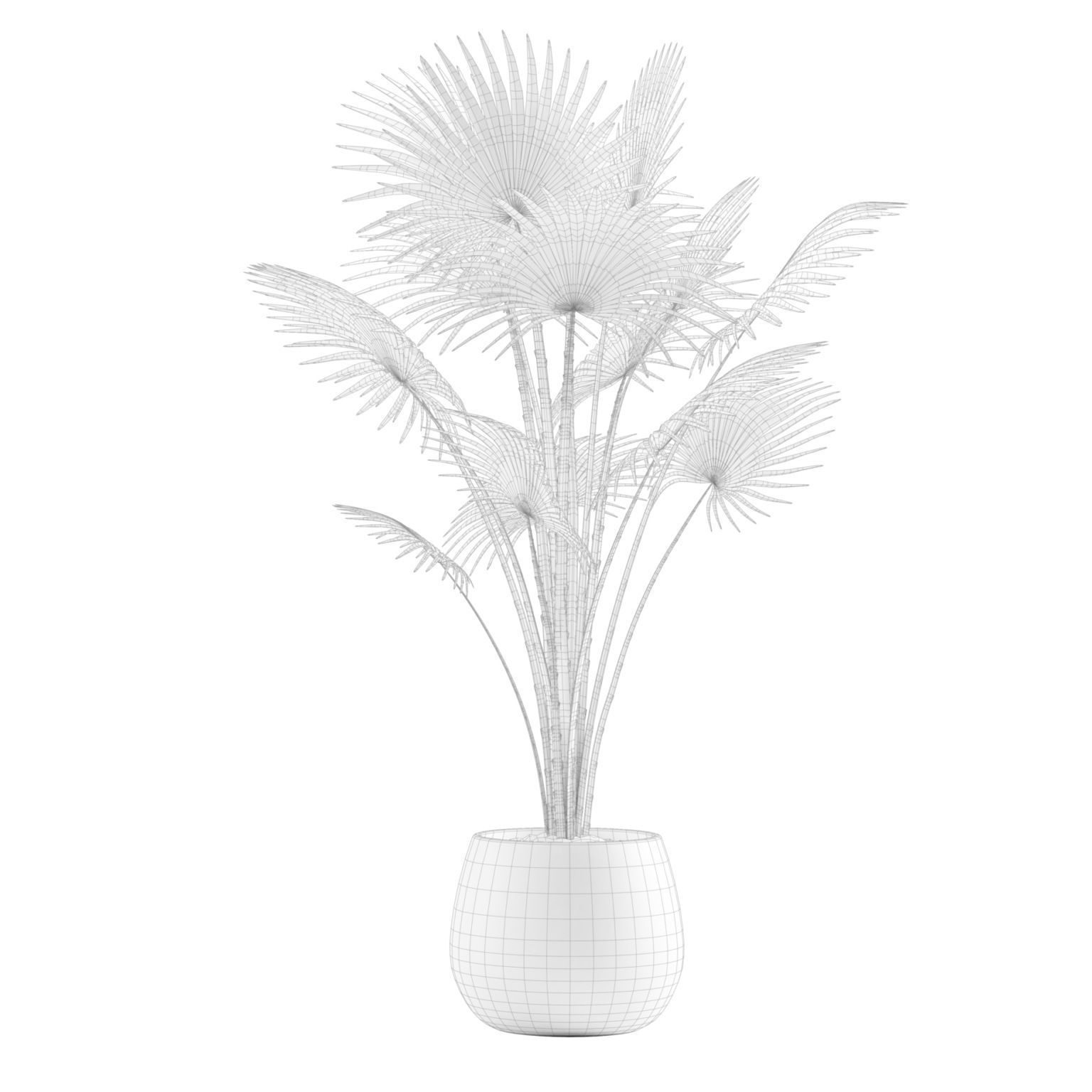 Indoor Plants Pack 12 3D model_7