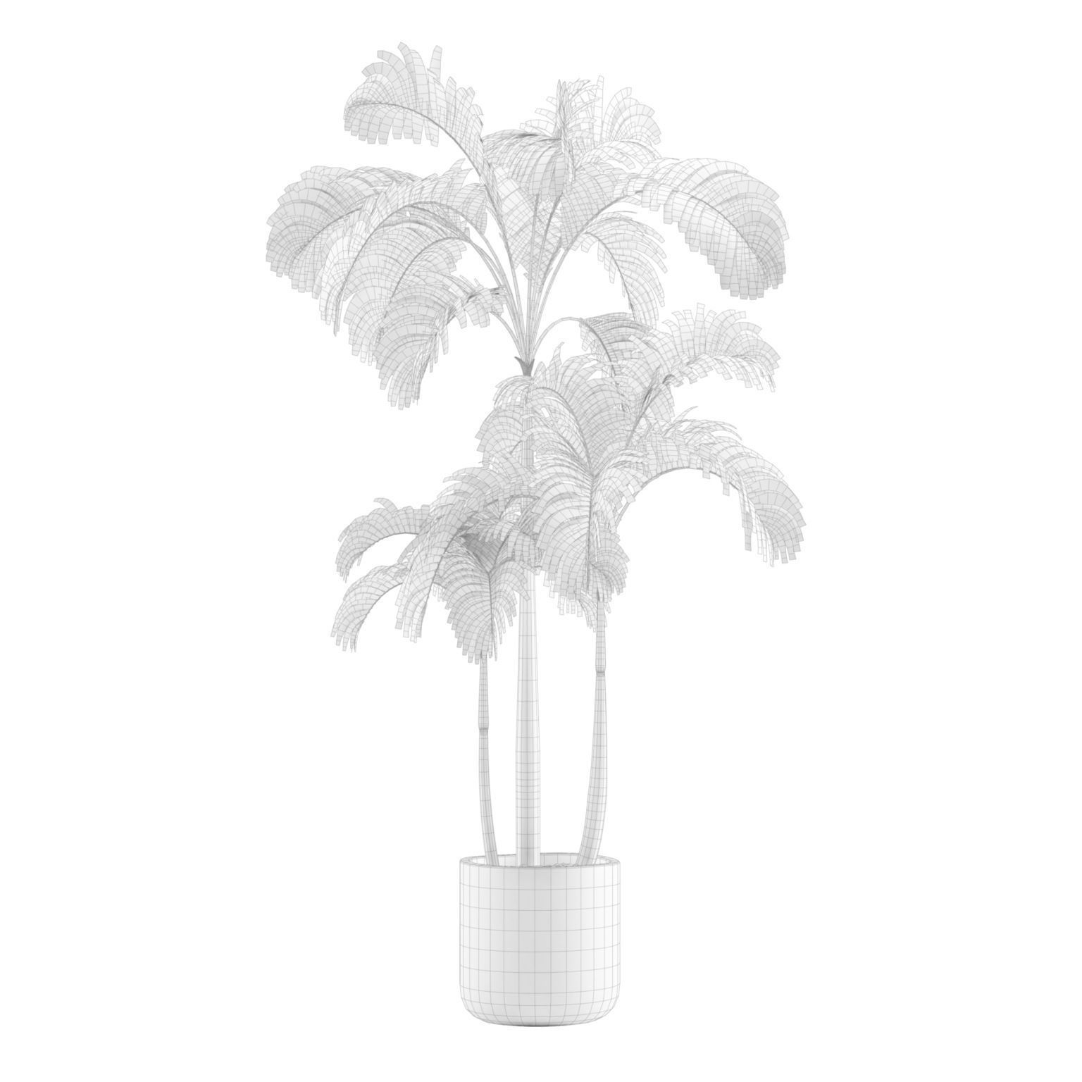Indoor Plants Pack 12 3D model_5