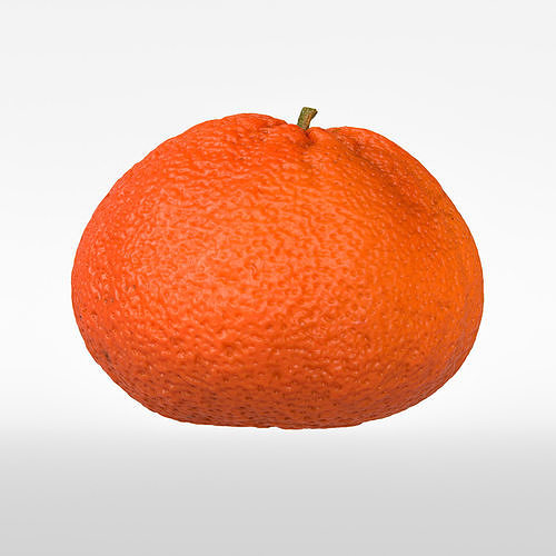Ortanique 3D model 7