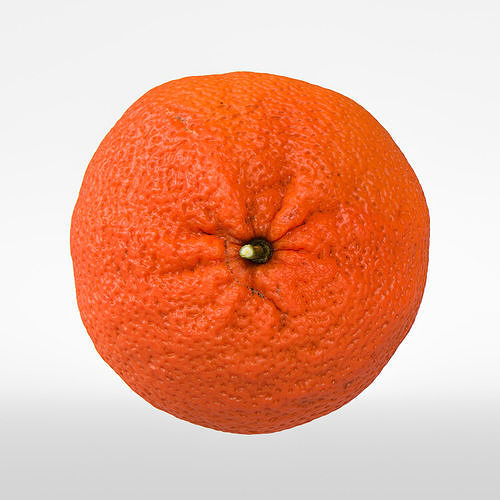 Ortanique 3D model 6