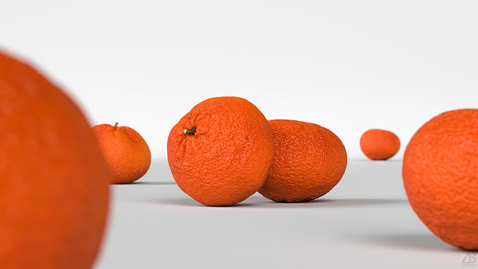 Ortanique 3D model 2