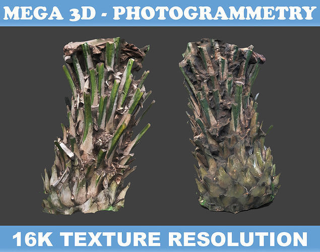 Low poly Oil Palm Trunk 03 - Photogrammetry Low-poly 3D model