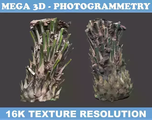 Low poly Oil Palm Trunk 03 - Photogrammetry