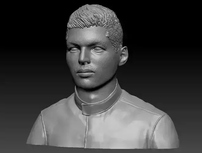 Max Verstappen bust 3D print model
