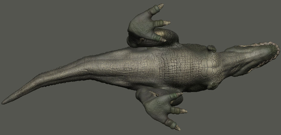 V Rex t - 3D model_10