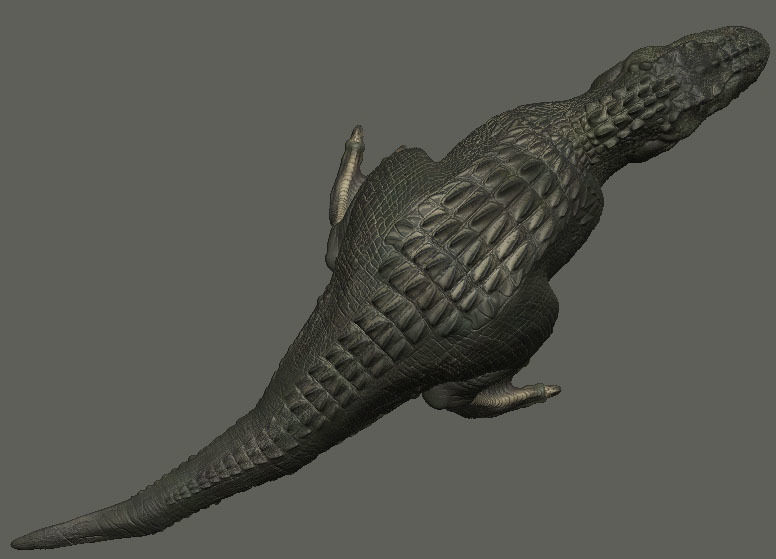 V Rex t - 3D model_11