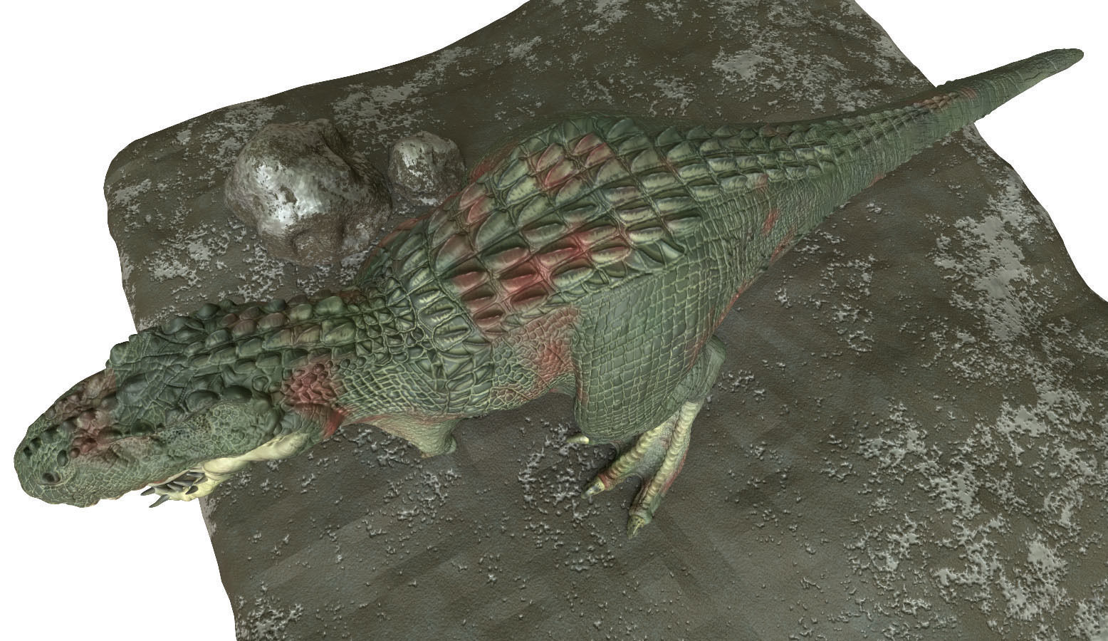 V Rex t - 3D model_2