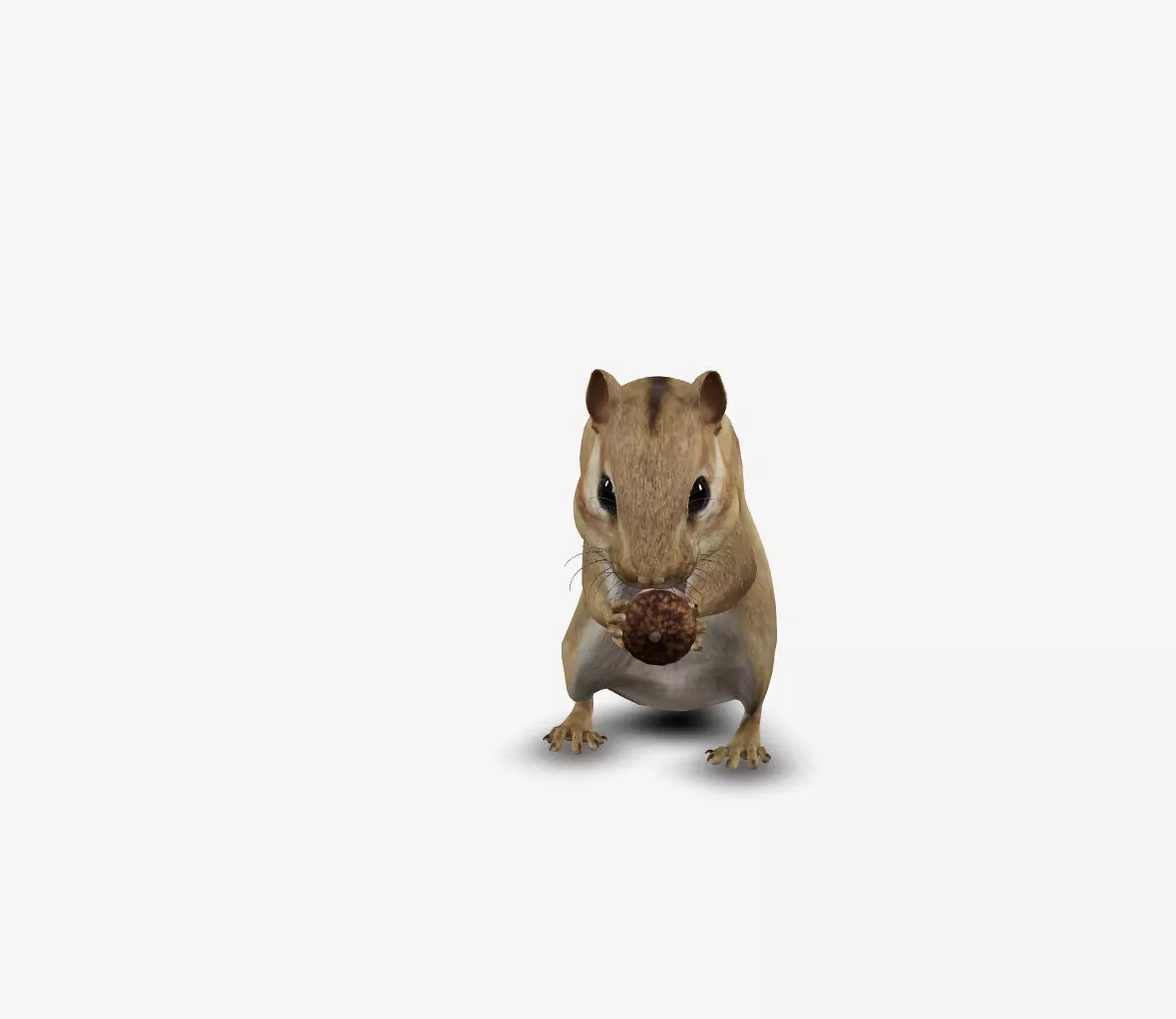 real realistic chipmunk animal zoo 3D model