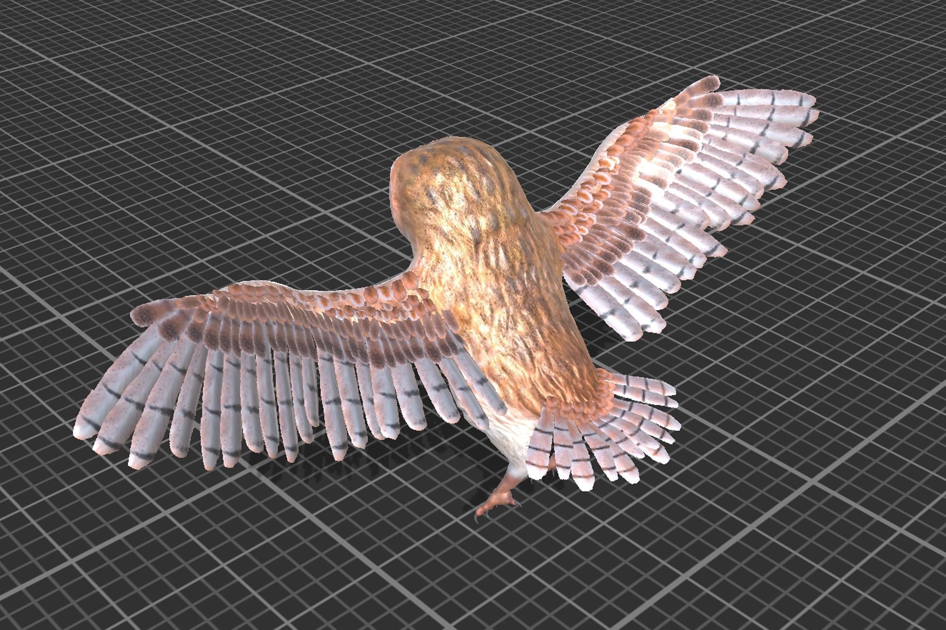 Barn Owl Low-poly 3D model_6