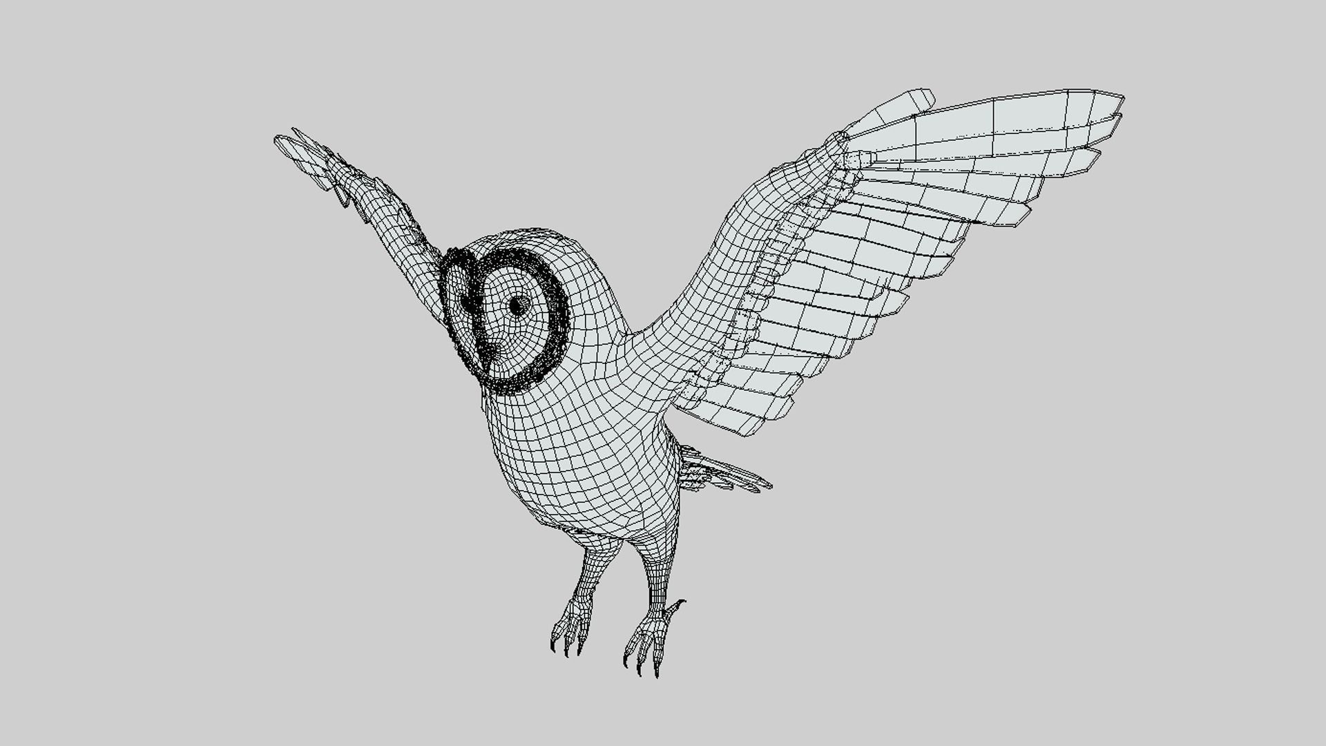 Barn Owl Low-poly 3D model_3