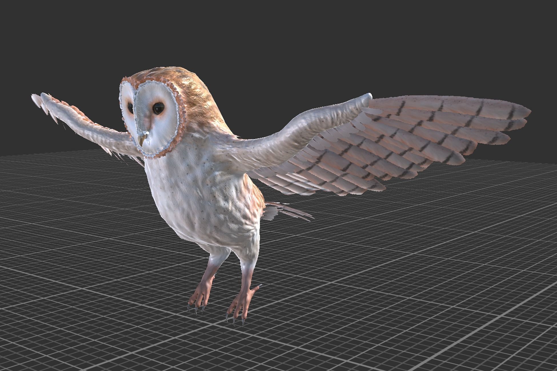 Barn Owl Low-poly 3D model_5
