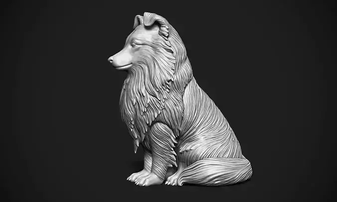 Sheltie Dog 3D print model