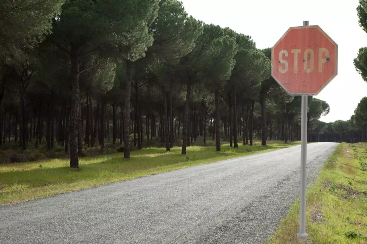 Road Sing STOP 3D model_0