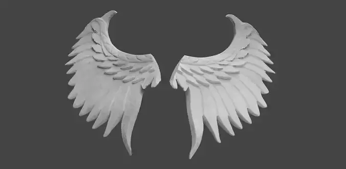 Wings Stylized wall design