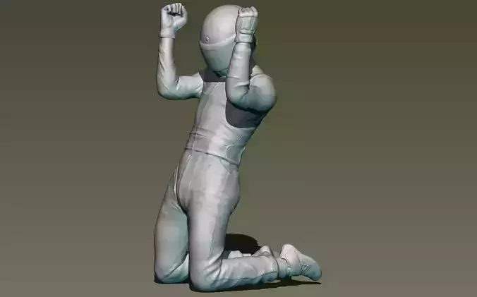 Car Driver Victory 3D print model