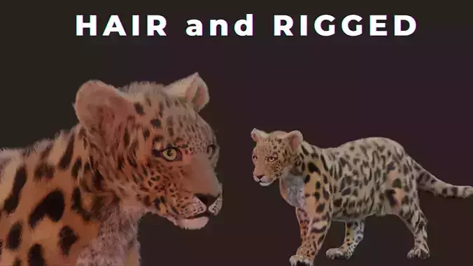 Jaguar leopard puma RIGGED and has FUR 3D model