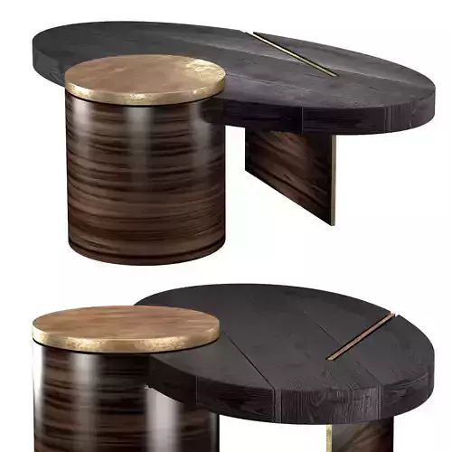 PRIMAL COFFEE TABLE 3D model
