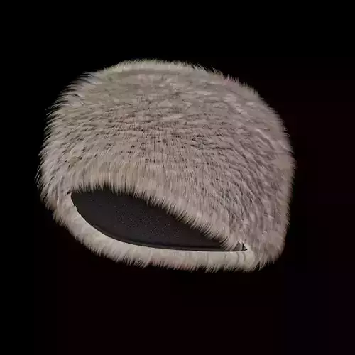 Hair Fur Hat Cloth Low-poly 3D model