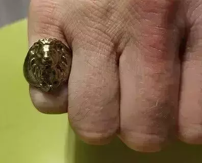 ring lion bague lion