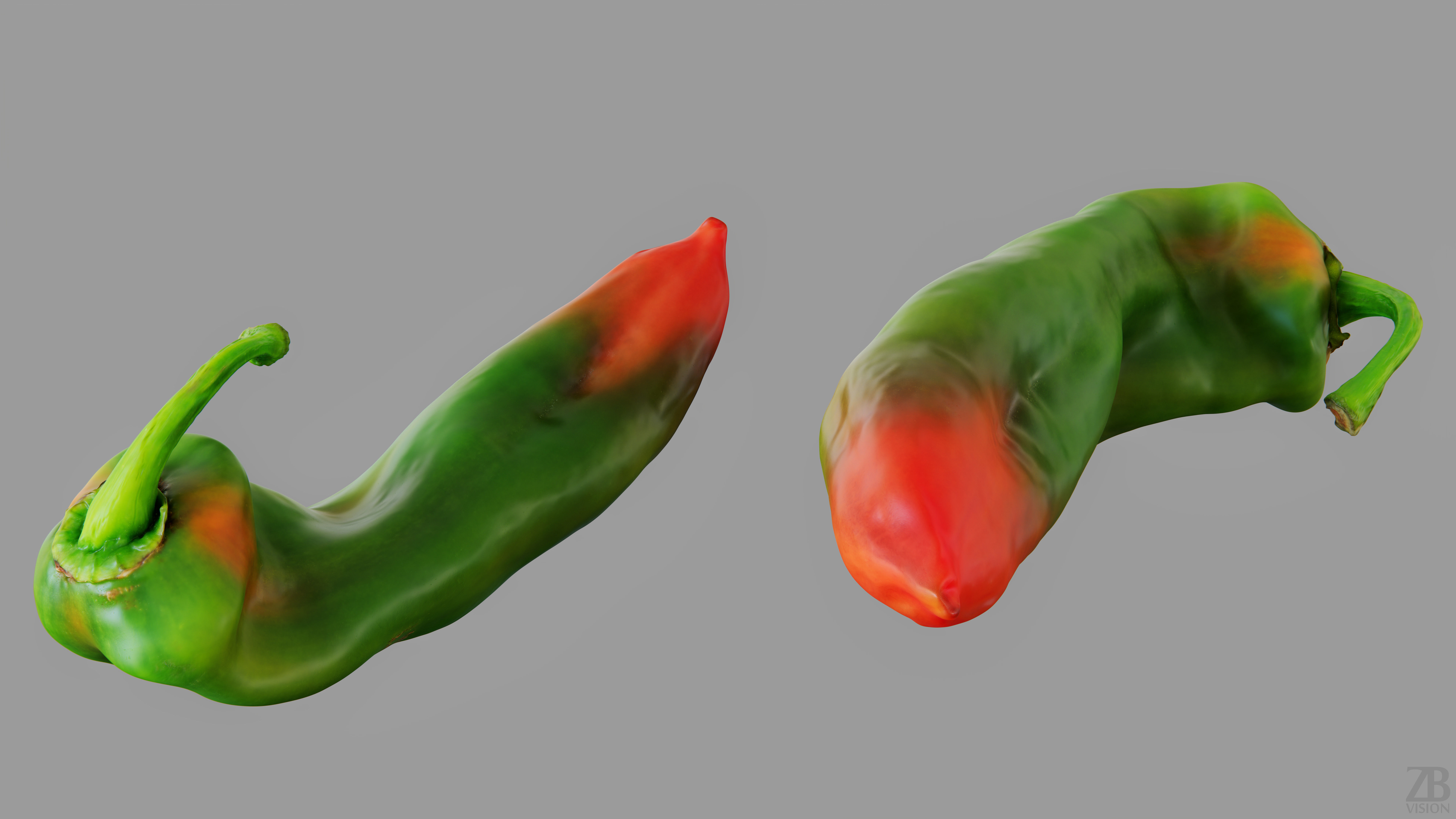 Paprika 3D model_12
