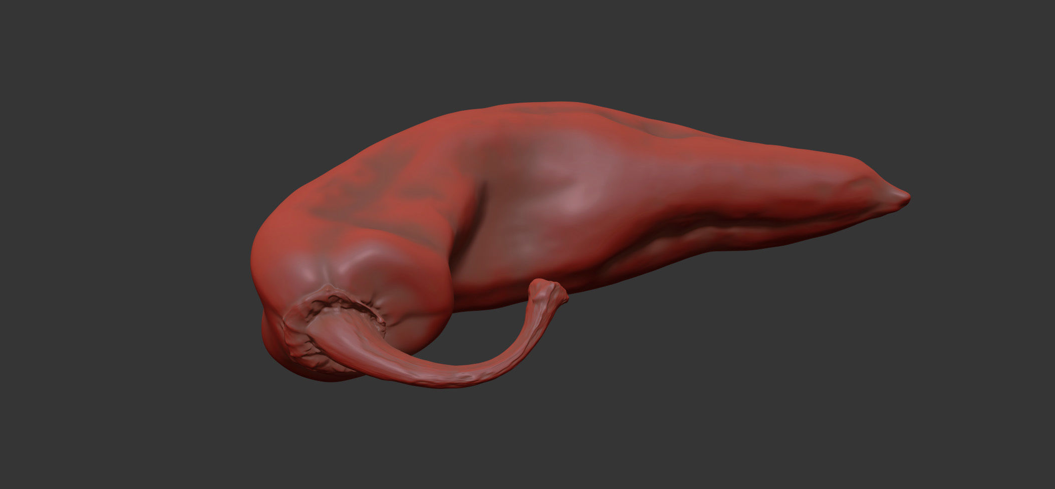 Paprika 3D model_10