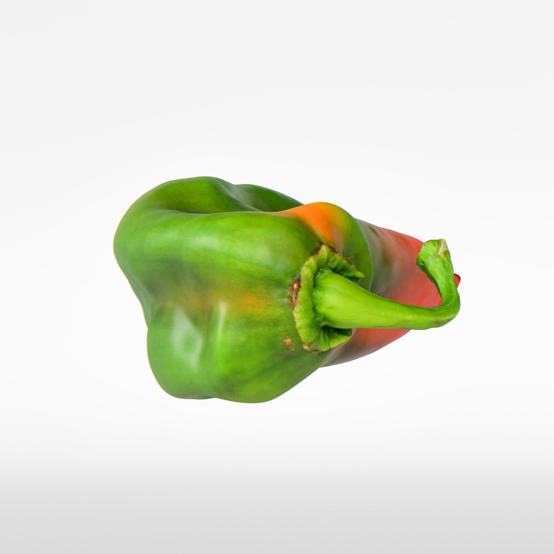 Paprika 3D model_6