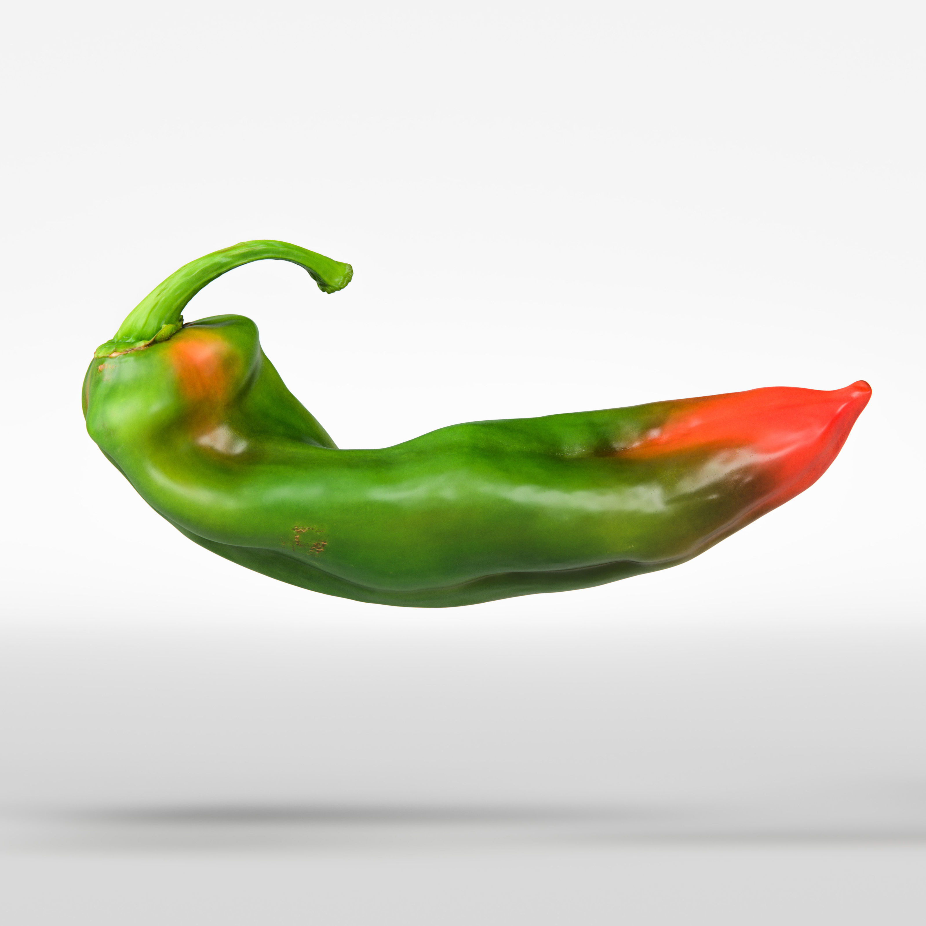 Paprika 3D model_5